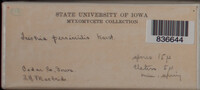 Image Associated With the Occurence